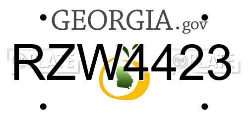 RZW4423 Georgia License Plate