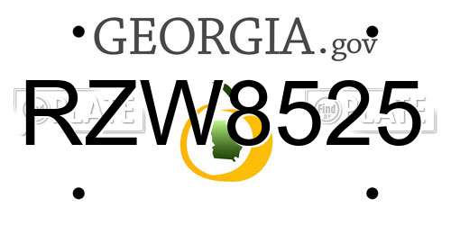 RZW8525 Georgia License Plate