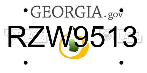 RZW9513 Georgia License Plate