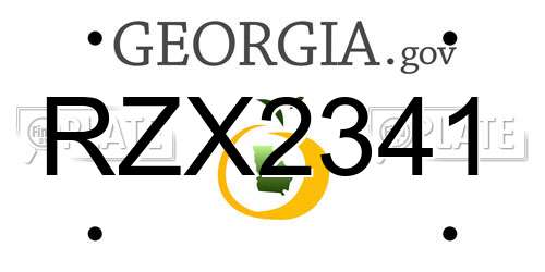 RZX2341 Georgia License Plate