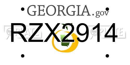 RZX2914 Georgia License Plate