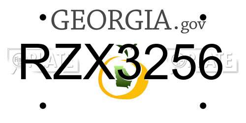 RZX3256 Georgia License Plate