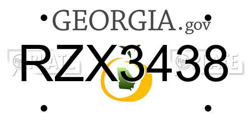 RZX3438 Georgia License Plate