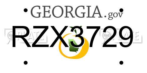 RZX3729 Georgia License Plate