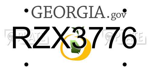 RZX3776 Georgia License Plate