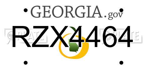 RZX4464 Georgia License Plate