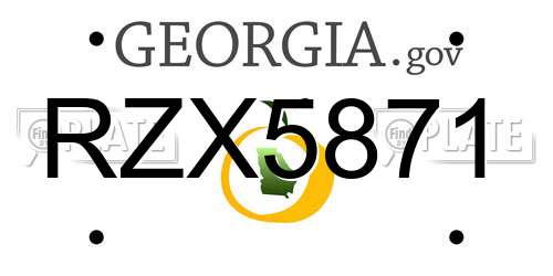 RZX5871 Georgia License Plate