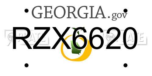 RZX6620 Georgia License Plate