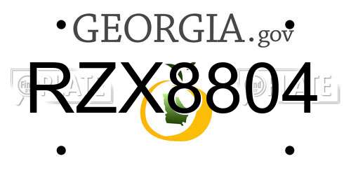 RZX8804 Georgia License Plate