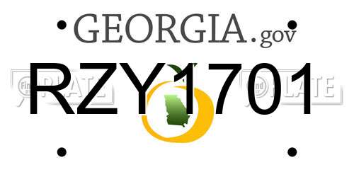 RZY1701 Georgia License Plate