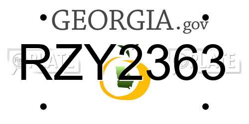 RZY2363 Georgia License Plate