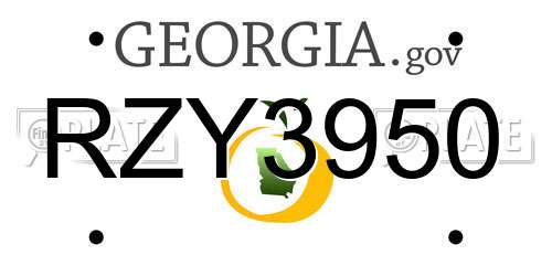 RZY3950 Georgia License Plate