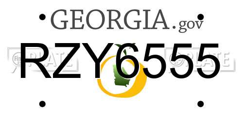 RZY6555 Georgia License Plate