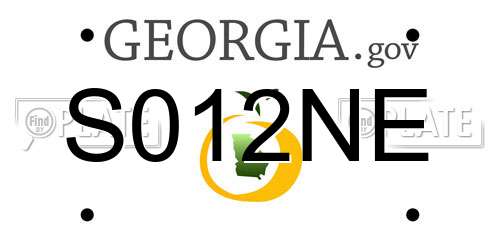 S012NE Georgia License Plate