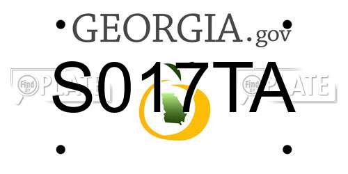 S017TA Georgia License Plate