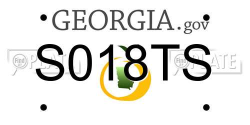 S018TS Georgia License Plate