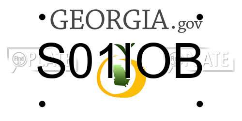 S01IOB Georgia License Plate