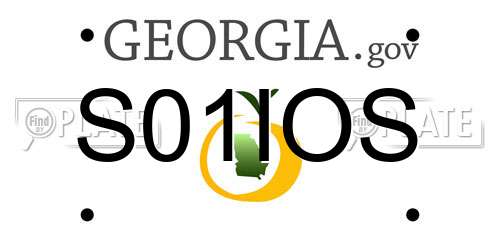 S01IOS Georgia License Plate