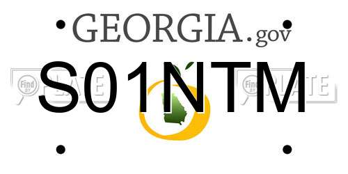 S01NTM Georgia License Plate