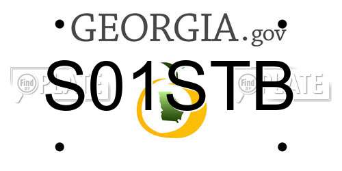 S01STB Georgia License Plate