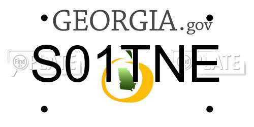 S01TNE Georgia License Plate