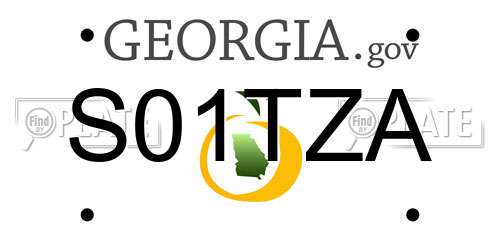 S01TZA Georgia License Plate