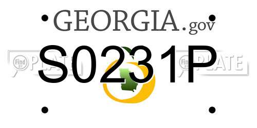 S0231P Georgia License Plate