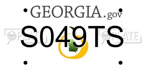S049TS Georgia License Plate