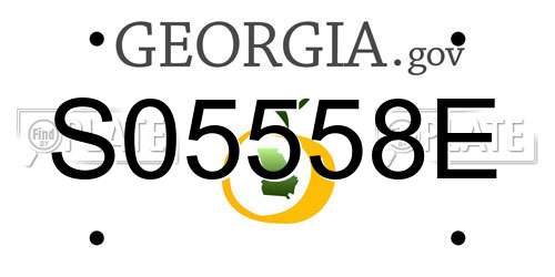 S05558E Georgia License Plate