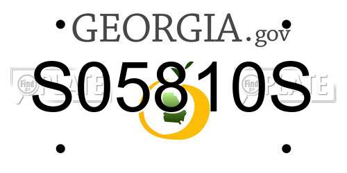 S05810S Georgia License Plate