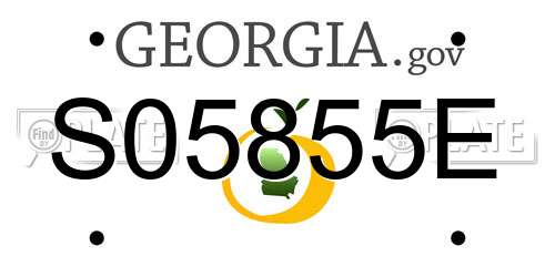 S05855E Georgia License Plate