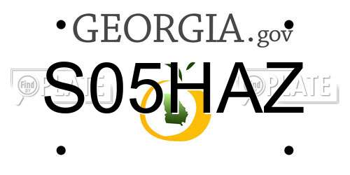 S05HAZ Georgia License Plate