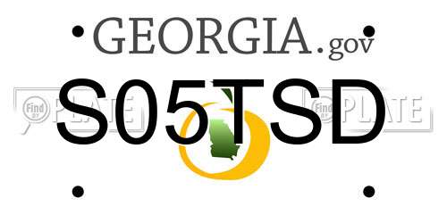 S05TSD Georgia License Plate