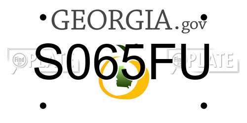 S065FU Georgia License Plate