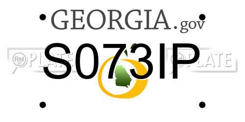 S073IP Georgia License Plate