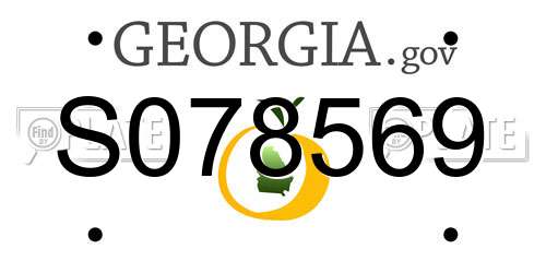 S078569 Georgia License Plate