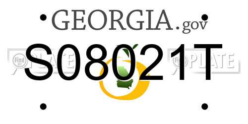 S08021T Georgia License Plate