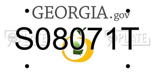 S08071T Georgia License Plate