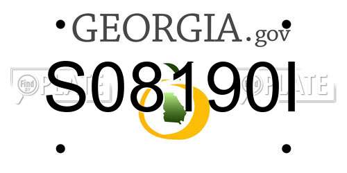 S08190I Georgia License Plate