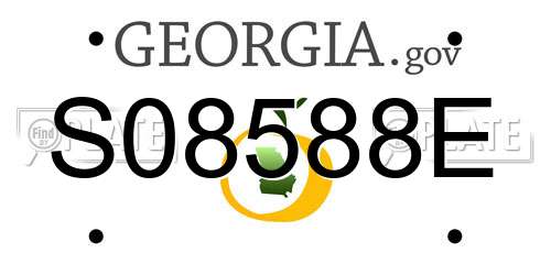 S08588E Georgia License Plate