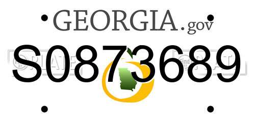S0873689 Georgia License Plate