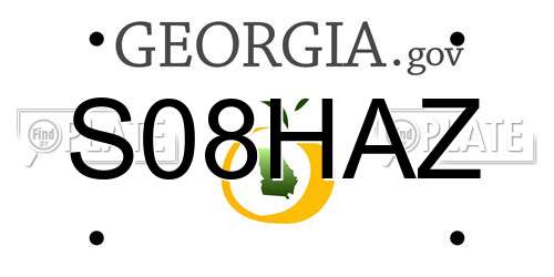 S08HAZ Georgia License Plate