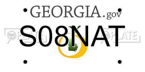 S08NAT Georgia License Plate