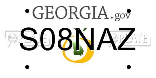 S08NAZ Georgia License Plate