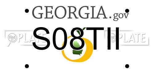 S08TII Georgia License Plate
