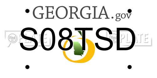 S08TSD Georgia License Plate