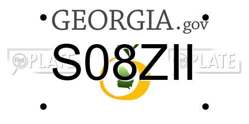 S08ZII Georgia License Plate