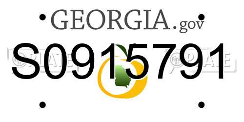 S0915791 Georgia License Plate