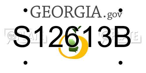 S12613B Georgia License Plate