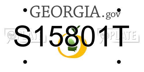 S15801T Georgia License Plate